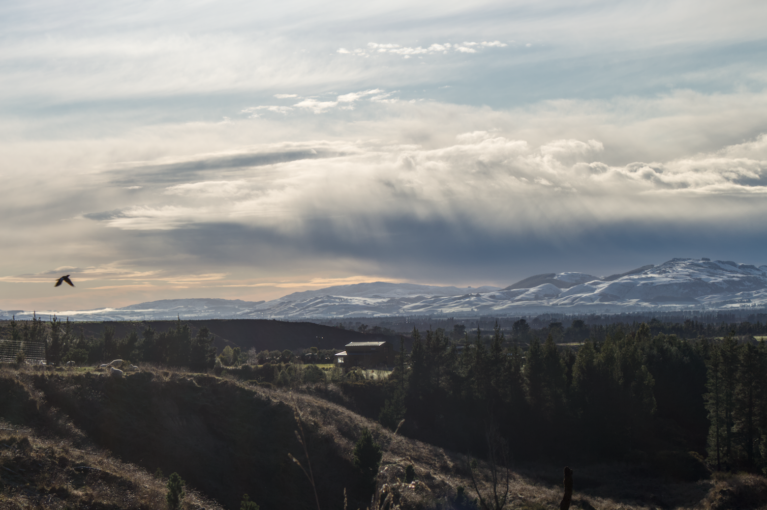 snowy hills