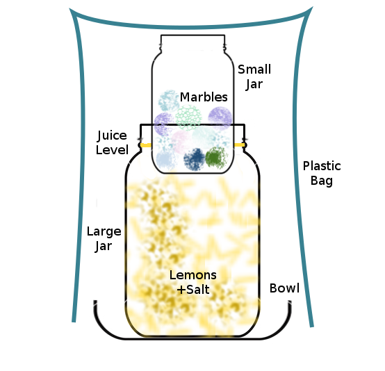 ferment lock