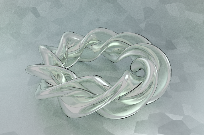 twisted torus